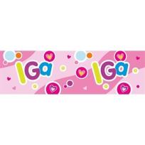 Opakowanie Bidon 300ml Iga