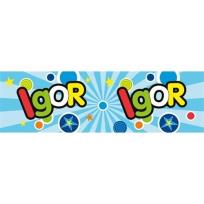 Opakowanie Bidon 300ml Igor