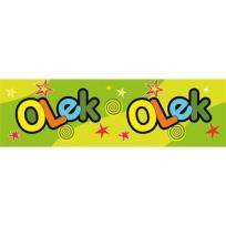 Opakowanie Bidon 300ml Olek