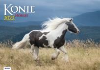 Opakowanie Kalendarz 2022 KA-10 Konie AVANTI