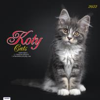 Opakowanie Kalendarz 2022 KAD-9 Koty AVANTI