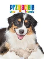 Opakowanie Kalendarz 2022 KSM-7 Przyjaciele AVANTI