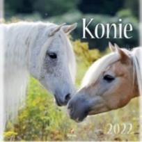 Opakowanie Kalendarz 2022 Ścienny Konie ARTSEZON