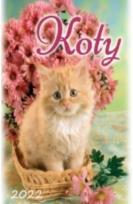 Opakowanie Kalendarz 2022 Ścienny Koty ARTSEZON