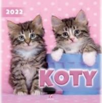 Opakowanie Kalendarz 2022 Ścienny Koty ARTSEZON