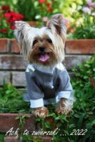 Opakowanie Kalendarz 2022 Ścienny wielopl. Ach, te zwierzaki