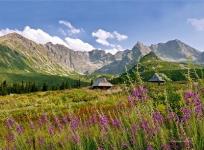 Opakowanie Kalendarz 2022 Trójdzielny Tatry RADWAN