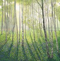 Opakowanie Karnet z kopertą Brzozowy las