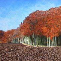 Opakowanie Karnet z kopertą Jesienny buk