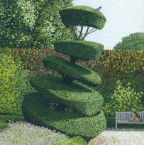 Opakowanie Karnet z kopertą Obserwowanie ptaków