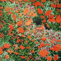 Opakowanie Karnet z kopertą Ognik szkarłatny