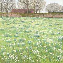 Opakowanie Karnet z kopertą Śnieżyczki