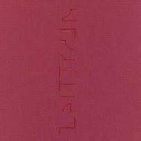 Okładka książki Katja Strunz Zeittraum#9 fur Władysław Strzemiński
