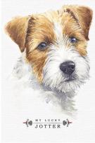 Opakowanie Notatnik ozdobny 105x165/64K kratka TW Terier