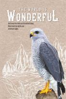 Opakowanie Notatnik ozdobny 145x197/80K kratka TW Sokół