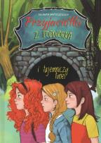 Okładka książki Przyjaciółki z podwórka i tajemniczy tunel