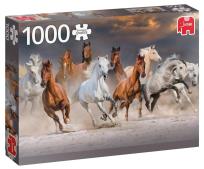 Opakowanie Puzzle 1000 PC Pustynne konie G3