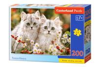 Opakowanie Puzzle 200 Persian Kittens CASTOR