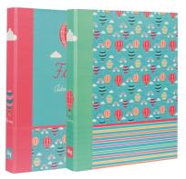 Opakowanie Segregator A4/2R D25 B'Log Fly Away