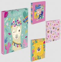 Opakowanie Segregator A4/2R Holalama