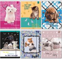 Opakowanie Teczka A4 z gumką Best Friend