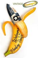 Okładka książki Welcome to the Monkey House