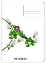 Opakowanie Zeszyt A4/60K kratka PP Fun Pea Pod (4szt)