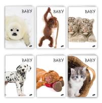 Opakowanie Zeszyt A5 32K linia BABY pakiet 20 sztuk