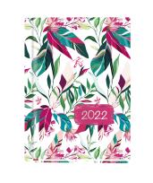 Okładka książki KAL.OLA DWA SLONECZNIKI 2014 T212F-02-PRMI