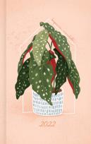 Okładka książki Kalendarz 2022 Rośliny domowe
