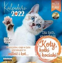 Opakowanie Kalendarz 2022 ścienny Classic Koty