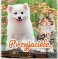 Opakowanie Kalendarz 2022 Ścienny Przyjaciele ARTSEZON