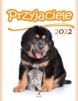 Opakowanie Kalendarz 2022 Ścienny Przyjaciele ARTSEZON