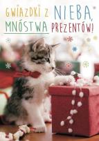 Opakowanie Karnet B6 3DV-189 Boże Narodzenie