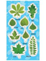 Opakowanie Naklejki Wiosenne liście