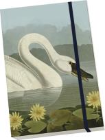 Opakowanie Notatnik ozdobny A5 STNOTE 64 Łabędź