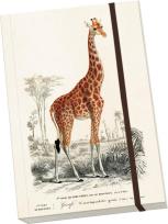 Opakowanie Notatnik ozdobny A5 STNOTE 71 Żyrafa