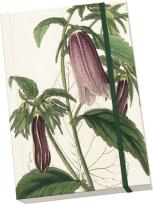 Opakowanie Notatnik ozdobny A5 STNOTE 78 Dzwonek