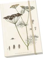 Opakowanie Notatnik ozdobny A5 STNOTE 89 Koper