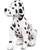 Opakowanie Pies Dalmatyńczyk szczeniak