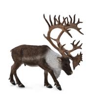 Okładka książki Renifer Woodland Caribou