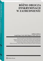 Okładka książki Różne oblicza dyskryminacji w zatrudnieniu
