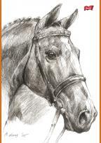 Opakowanie Szkicownik A4 20 kartek PAKIET 10 sztuk