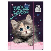 Opakowanie Teczka z gumką A4 Cleo i Frank 30 ( Kot) Derform