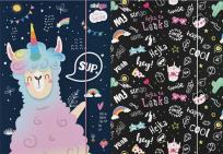 Opakowanie Teczka z gumką A4 Hejka tu Lenka STRIGO