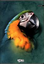 Opakowanie Zeszyt A4/60k w kratkę Wild