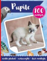 Okładka książki 100 naklejek. Pupile