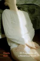 Okładka książki 20 Fragments of a Ravenous Youth
