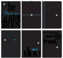 Opakowanie Brulion PT A4/64K kratka B&B (5szt)