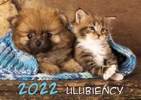 Opakowanie Kalendarz 2022 Ulubieńcy KA 4